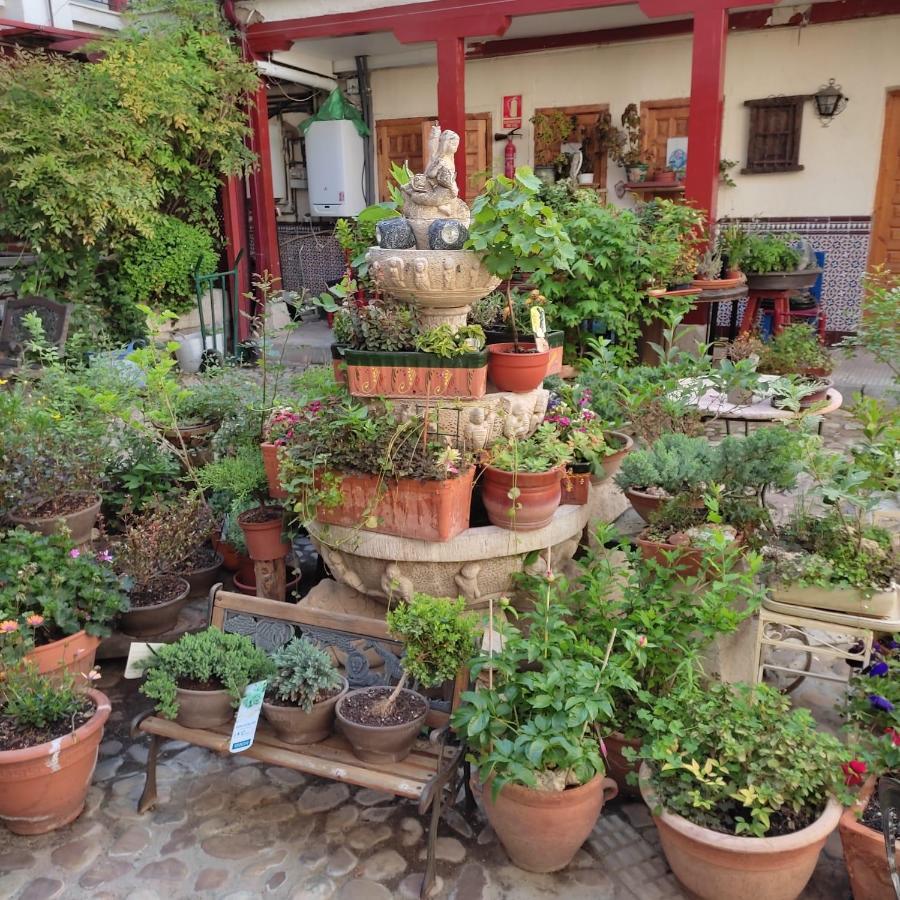 Hostal Castilla Aranjuez Exteriér fotografie